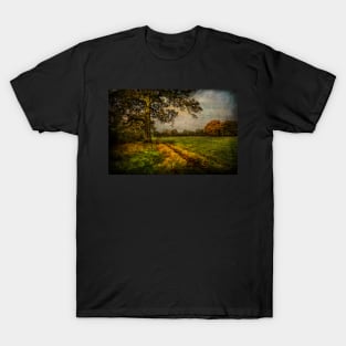 Tidmarsh Meadows in Autumn T-Shirt